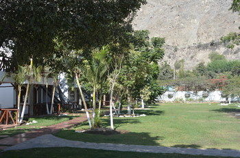 Vinas Del Sol