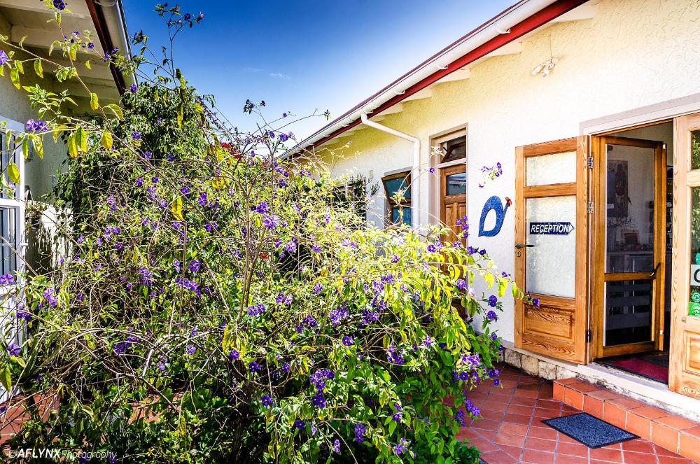 General 3 of 43