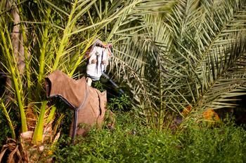 General 204 of 304