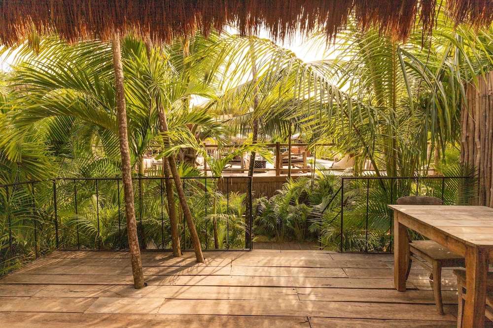 General 37 of 265