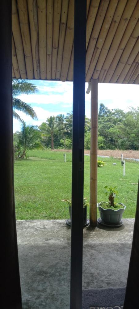 General 49 of 68